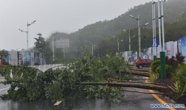 台风红霞把儿童床连人卷出门外